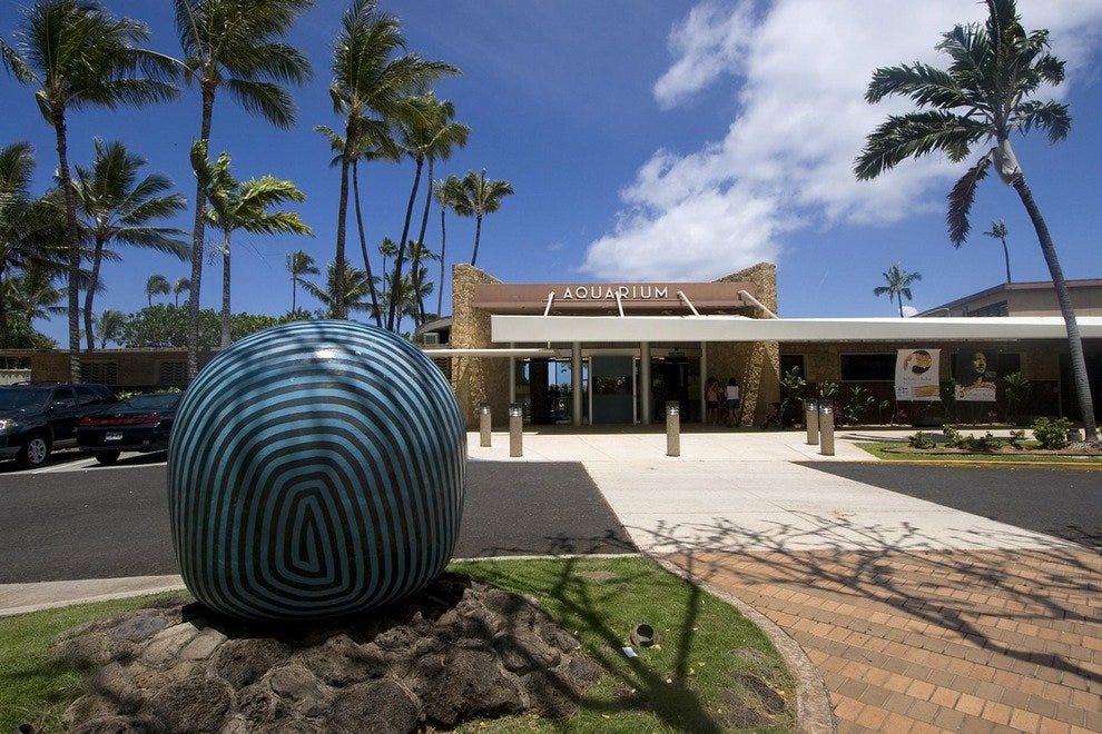 Waikiki Aquarium Honolulu Attractions Review 10Best Experts and