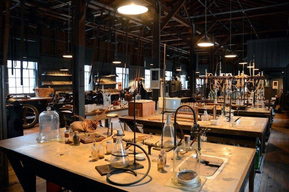 A Southwest Florida Celebration of Light