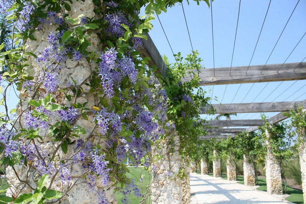 Naples Botanical Garden Naples Attractions Review 10Best Experts and