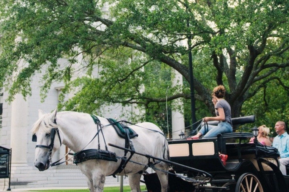 Historic Savannah Carriage Tour Savannah Attractions Review