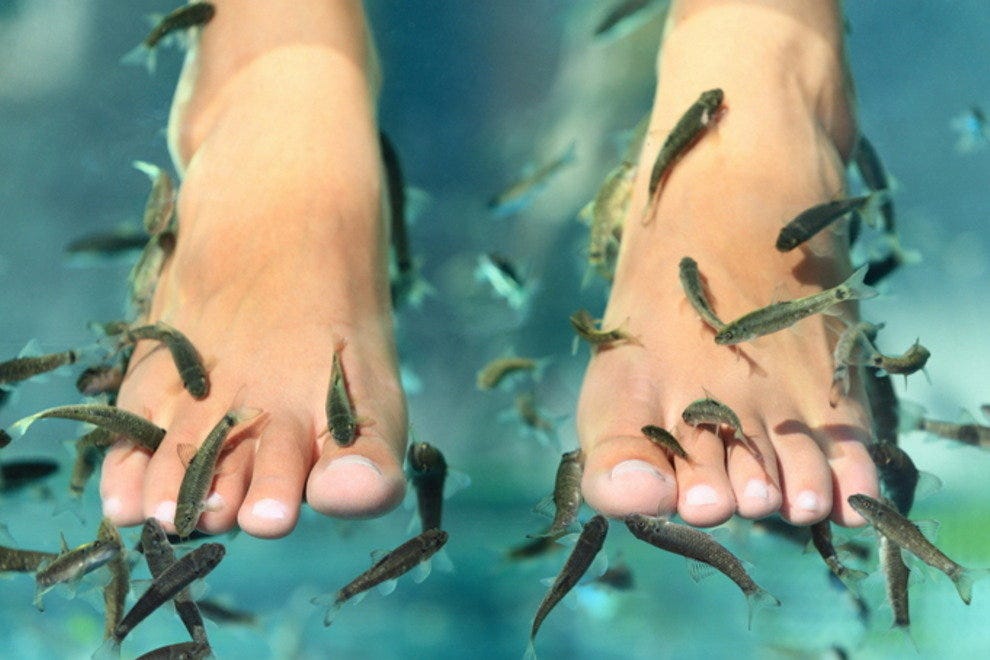 Dr Fish Amsterdam Attractions Review 10best Experts Dr Fish Amsterdam