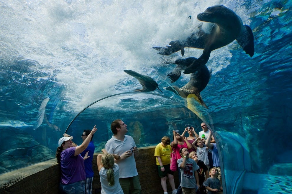 Best US Zoos 10Best Readers' Choice Travel Awards