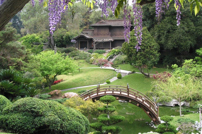 The Huntington Library, Art Collections and Botanical Gardens is one of the  very best things to do in Los Angeles