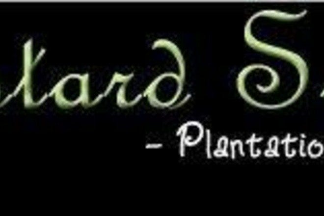 Mustard Seed Bistro Is One Of The Best Restaurants In Fort Lauderdale