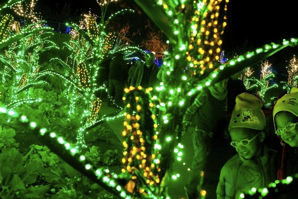 Garden Lights Holiday Nights At Atlanta Botanical Garden Atlanta