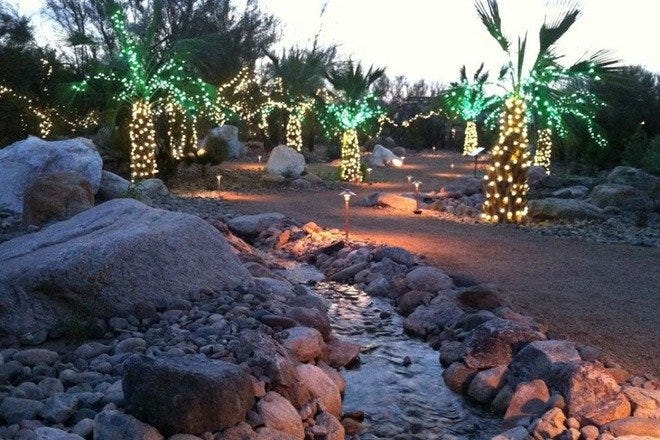 Holiday Nights at Tohono Chul