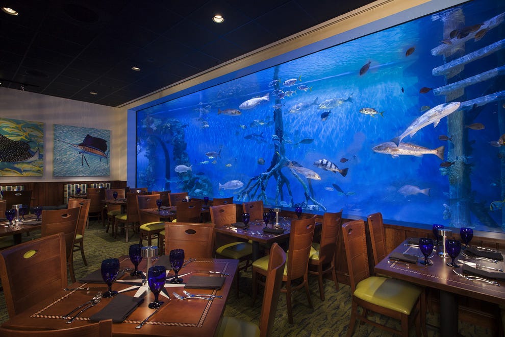 Swim with the Fishes at Guy Harvey RumFish Grill & Bar - Main Dining Tank 54 990x660