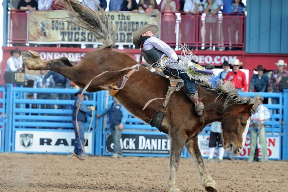 Cowboy Up Experience an Authentic Western Rodeo