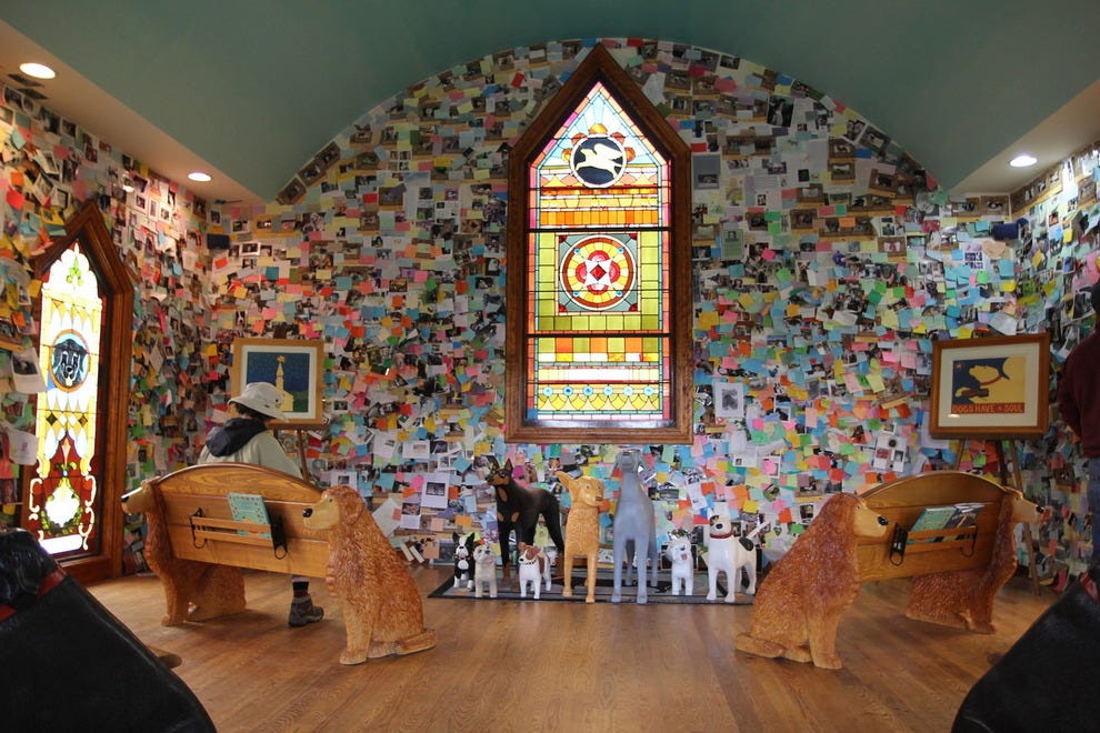 Best Dog Friendly Tour Or Activity Winners 2016 10best