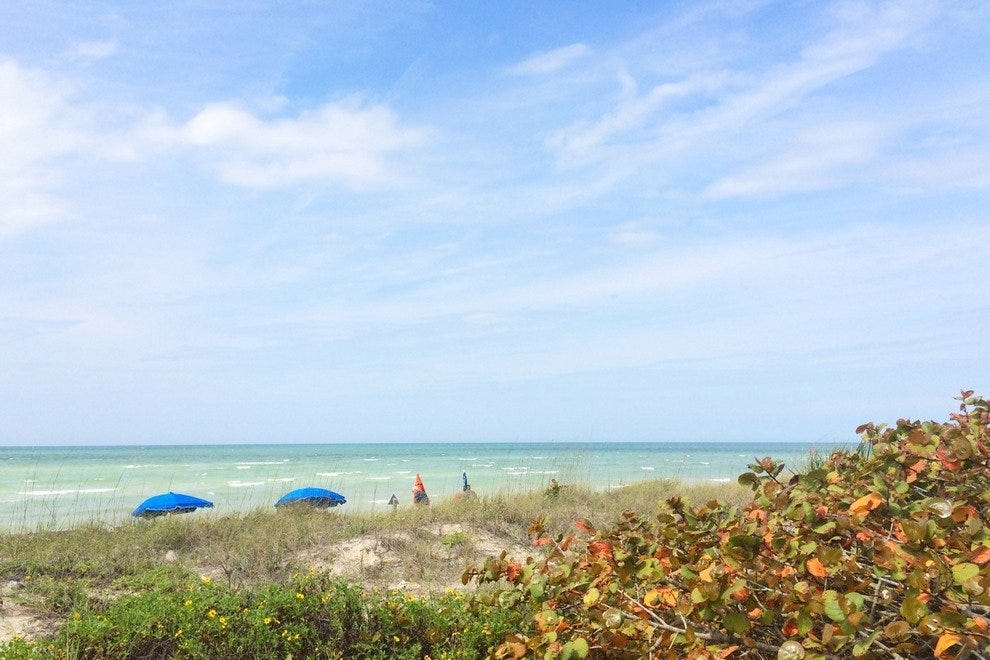 Honeymoon Island State Park St. Petersburg / Clearwater Attractions