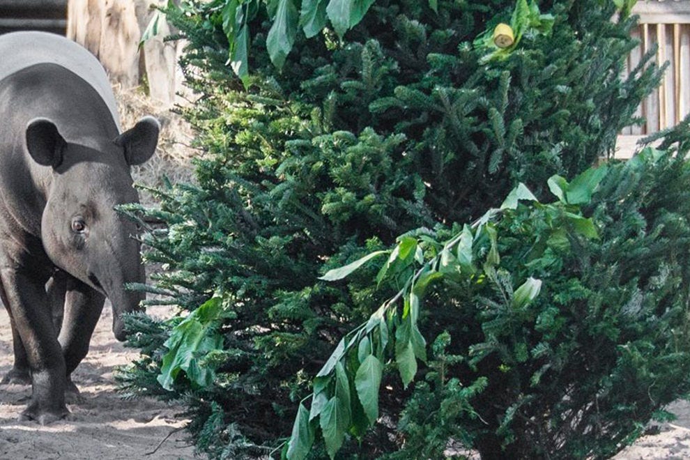 Holiday Attractions Attractions in Tampa