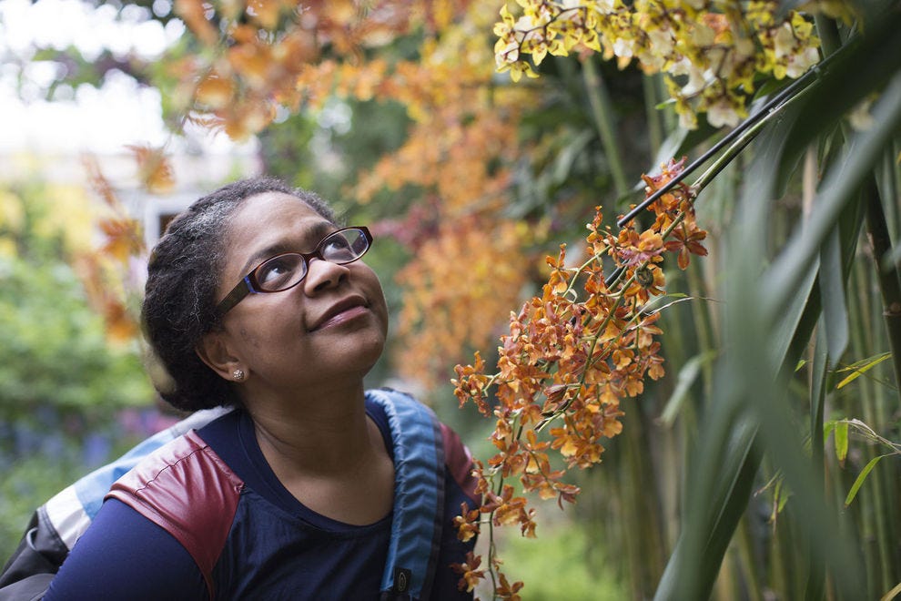 10 Best Botanical Gardens In The Us To Visit In 2020 Scenic