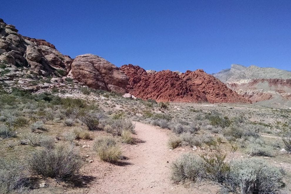 Calico Basin Las Vegas Attractions Review 10Best Experts and Tourist