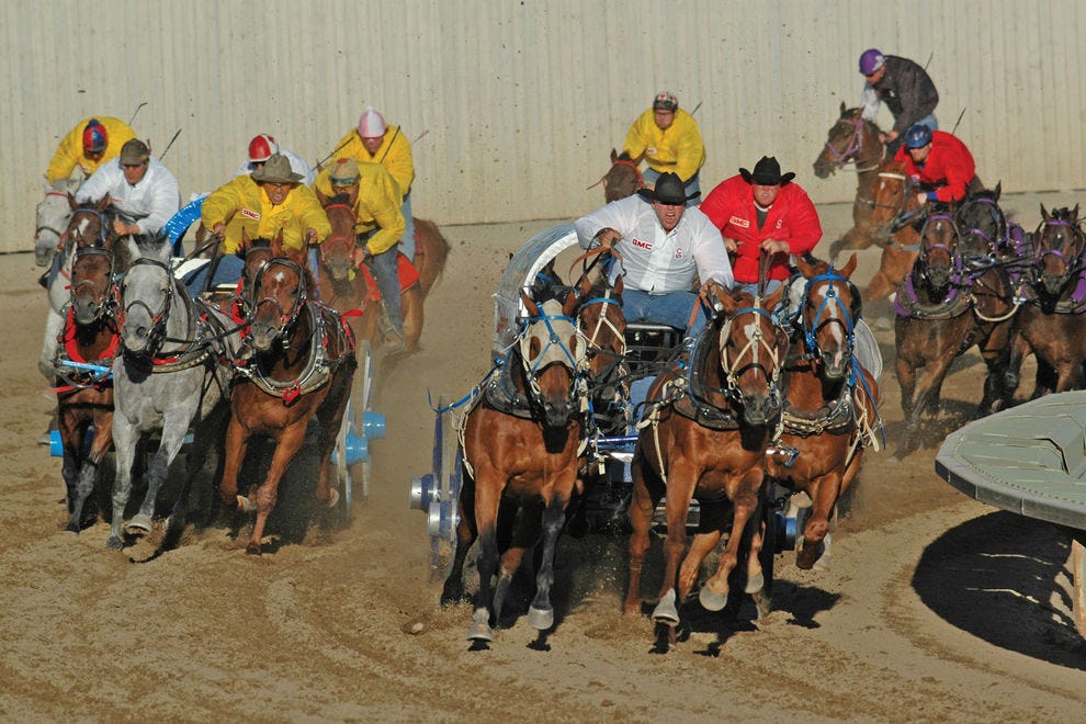 Many come to the Calgary Stampede specifically for the exhilarating chuckwagon races
