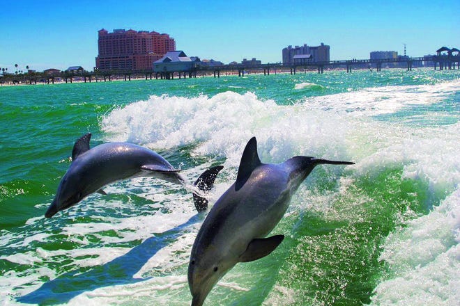 The Tropics Boat Tours