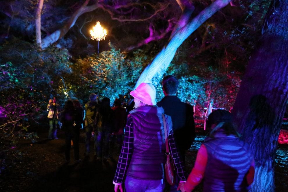 Descanso Gardens: Los Angeles Attractions Review - 10Best Experts and