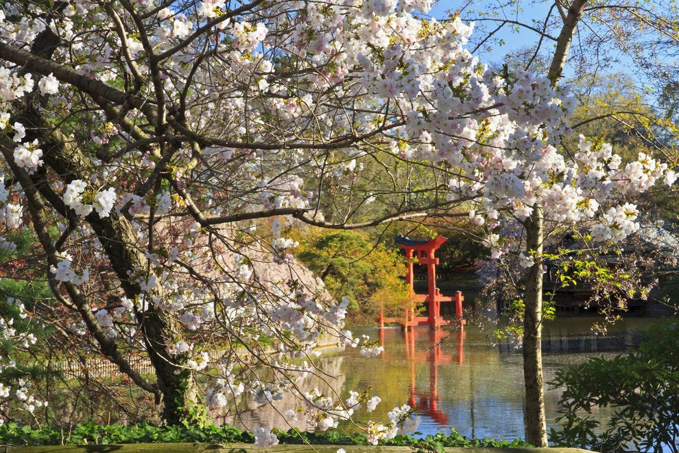 10 Places To See Beautiful Cherry Blossoms And When