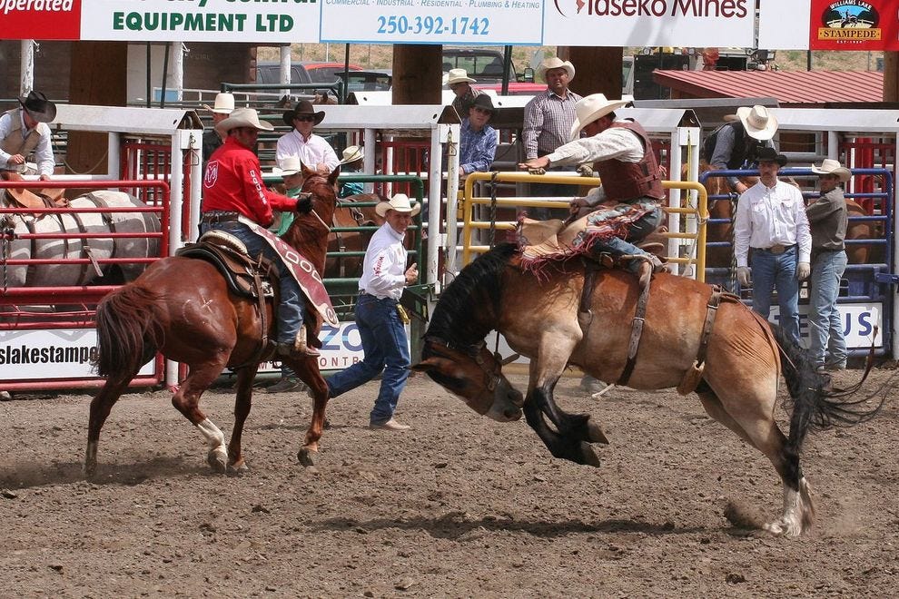 Best Rodeo Winners (2018) USA TODAY 10Best
