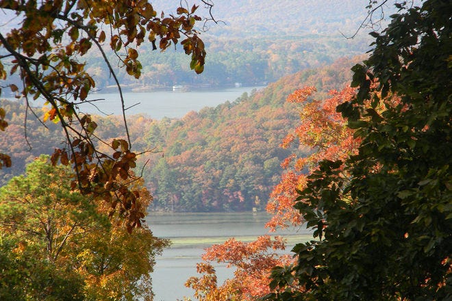 Fall Colors in the City - Darling Down South