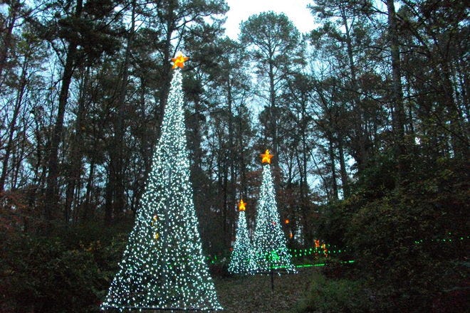 Vote- Best Botanical Garden Holiday Lights Nominees: 2018 10Best