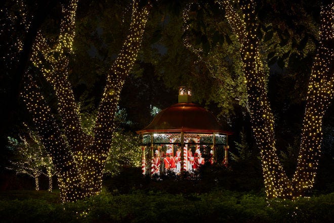 Vote- Best Botanical Garden Holiday Lights Nominees: 2018 10Best