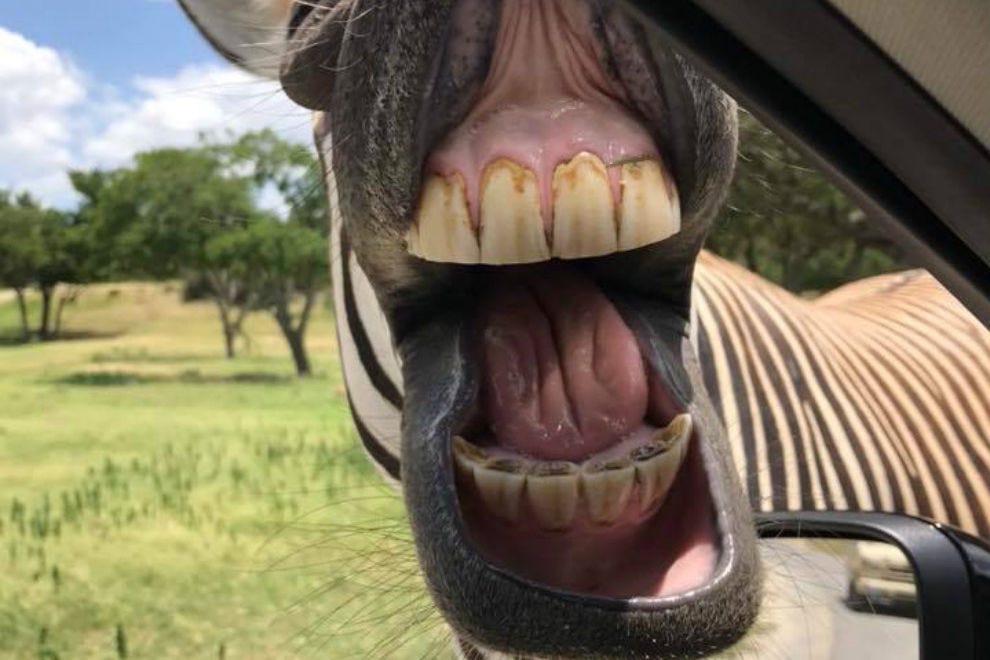 Fossil Rim Wildlife Center