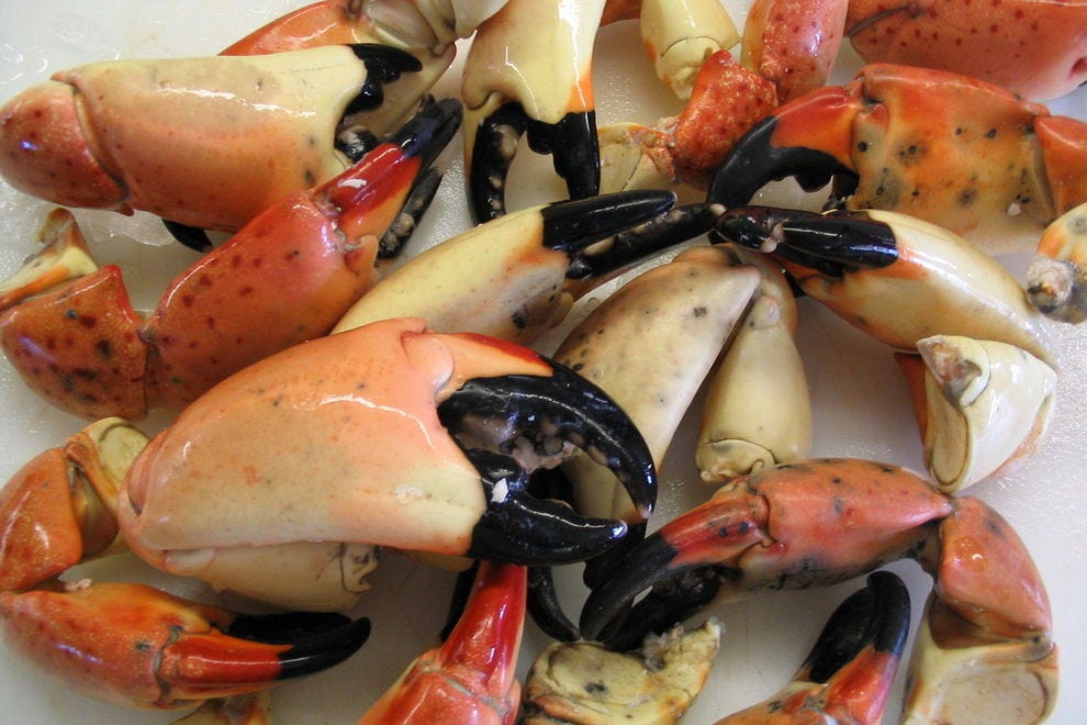 Best Stone Crab in Florida Winners (2019) | USA TODAY 10Best