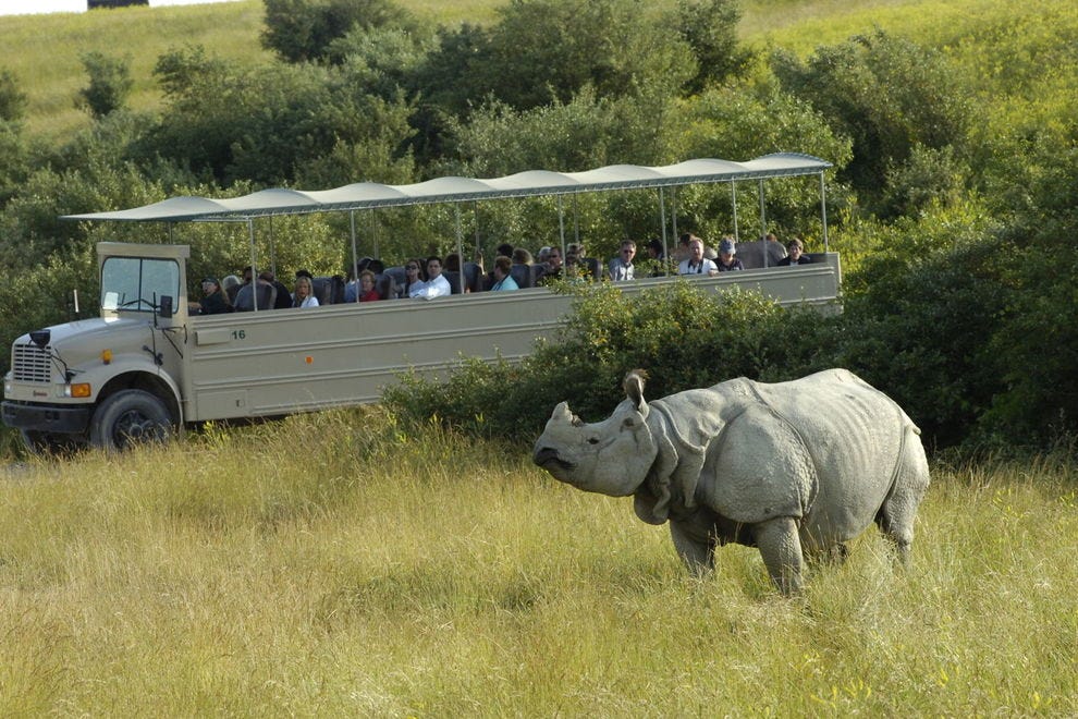 Best Safari Park Winners (2019) USA TODAY 10Best