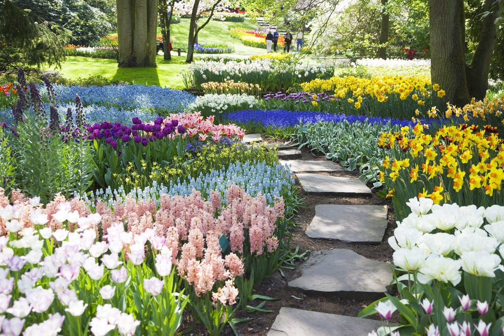 Best Botanical Garden Winners 2019 10best Readers Choice