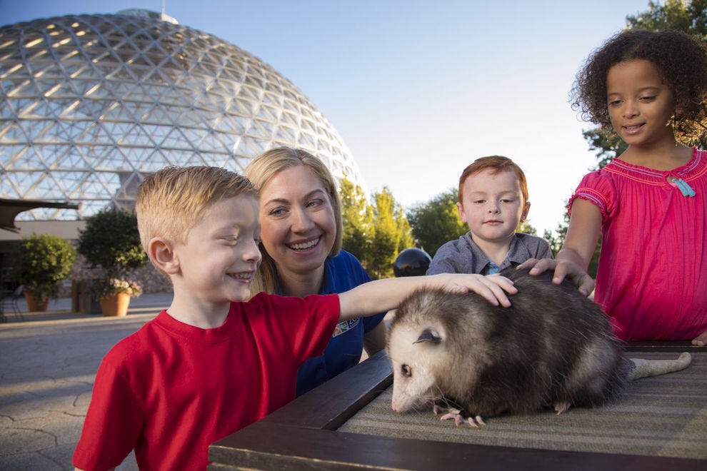 Best Zoo Winners 2019 10best Readers Choice Travel Awards