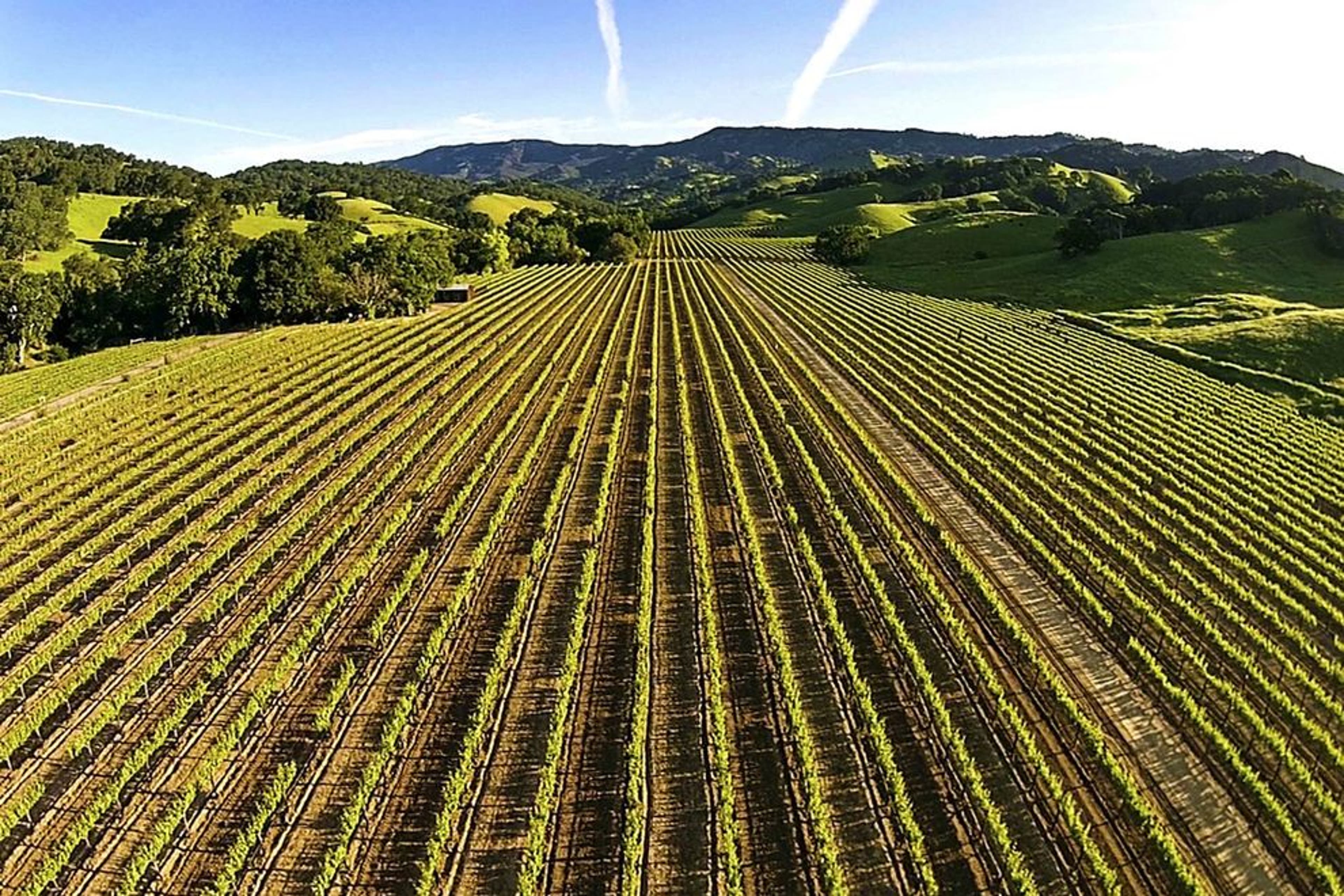 Why you need to explore Suisun Valley, undiscovered wine country