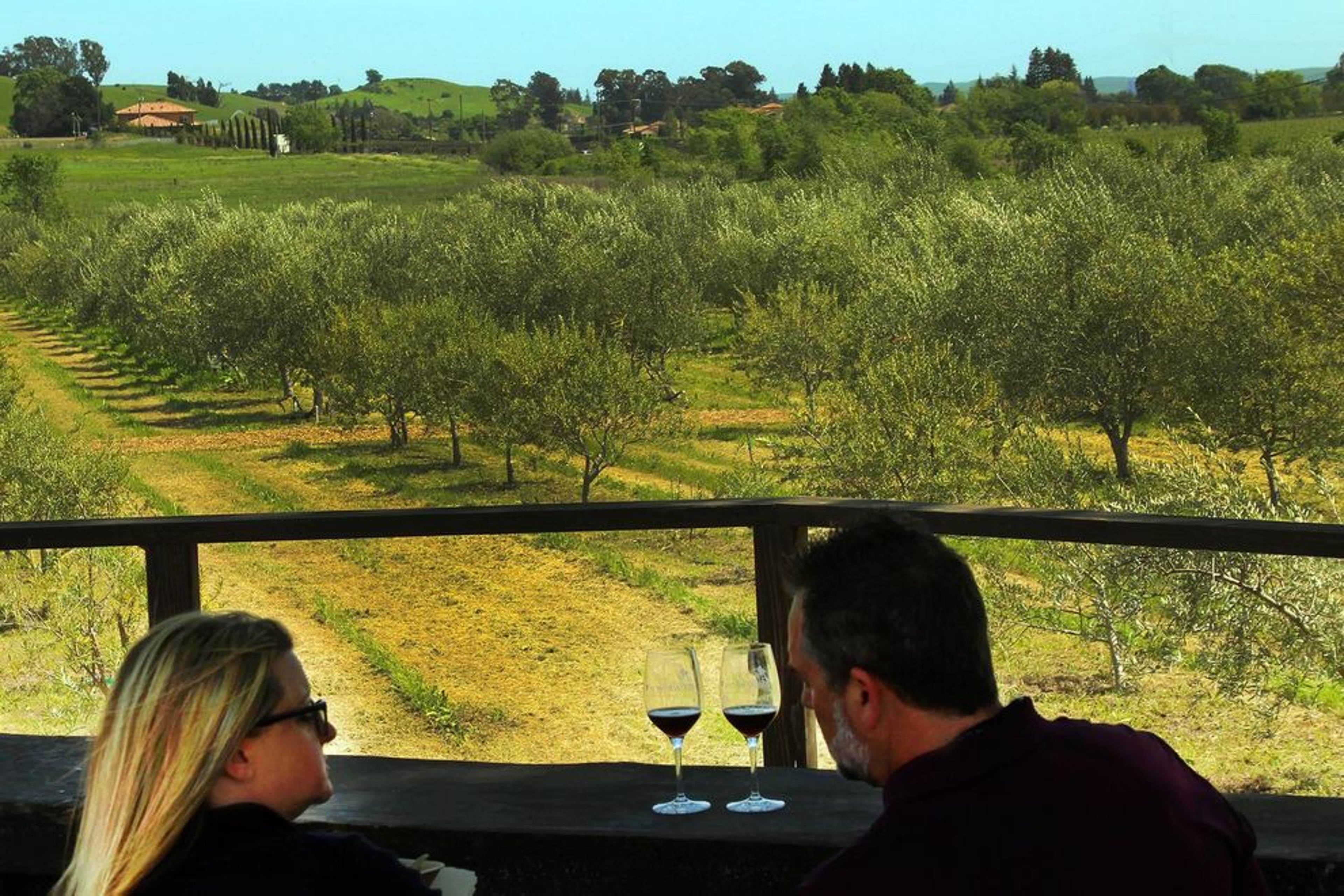 Why you need to explore Suisun Valley, undiscovered wine country