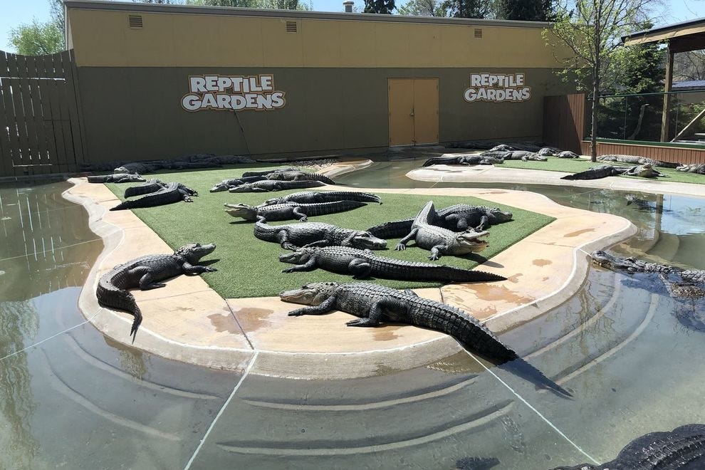 South Dakota is home to the largest reptile zoo in the world