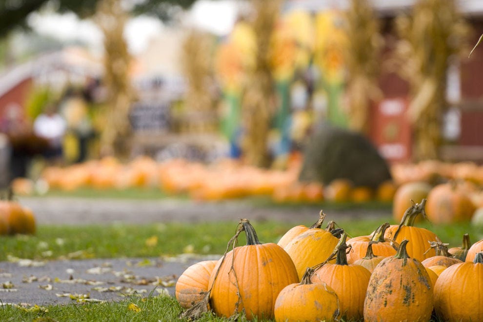 Best Fall Festival Winners 2019 USA TODAY 10Best
