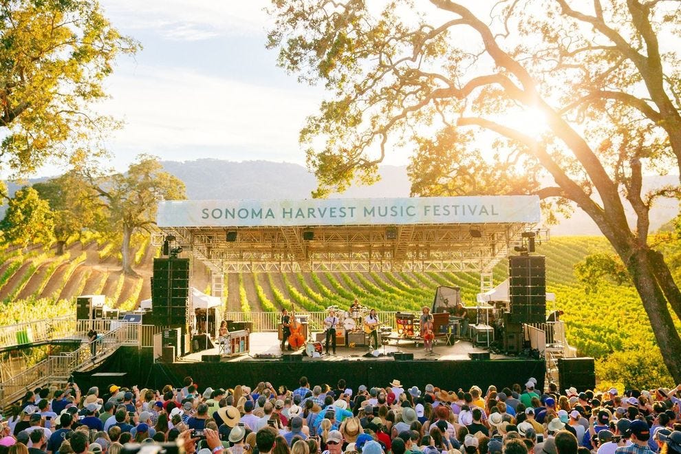Michigan Wine Festival 2024 Jenna Lorilee