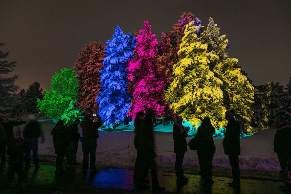 Morton Arboretum