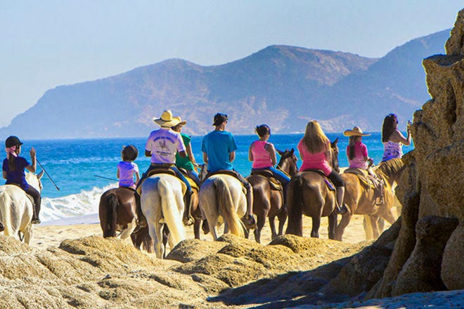 Cabo San Lucas Things To Do With Kids