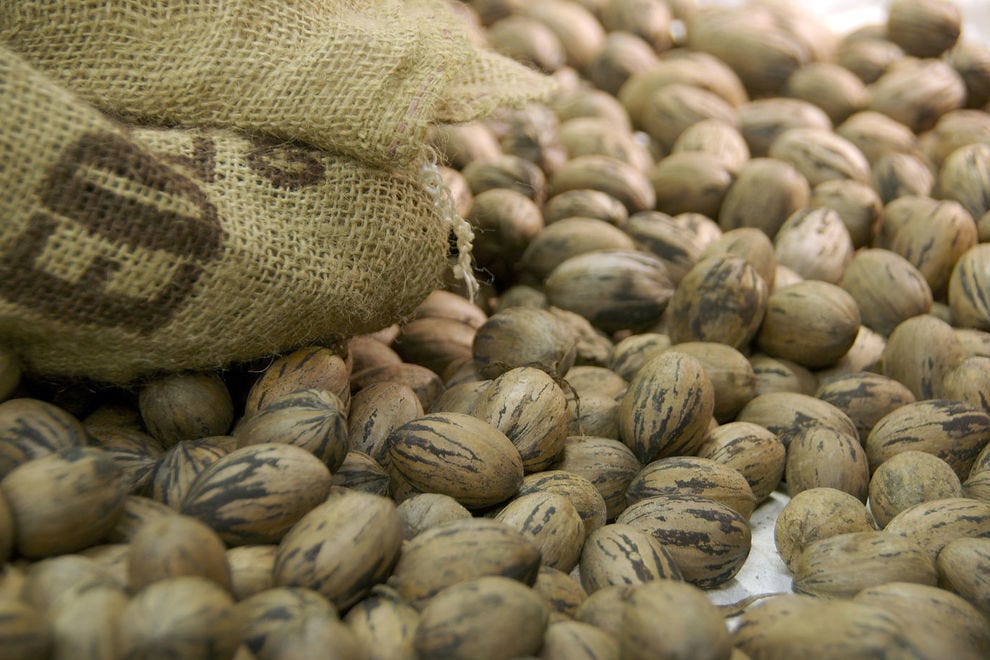 Pecans still in their shells