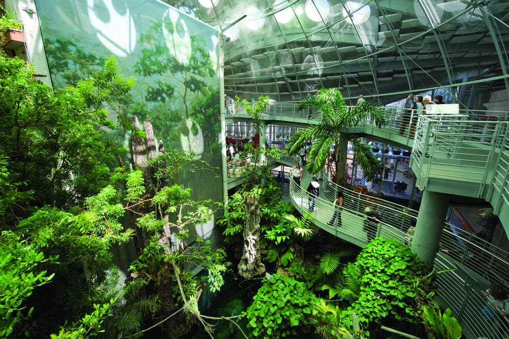 California Academy of Sciences