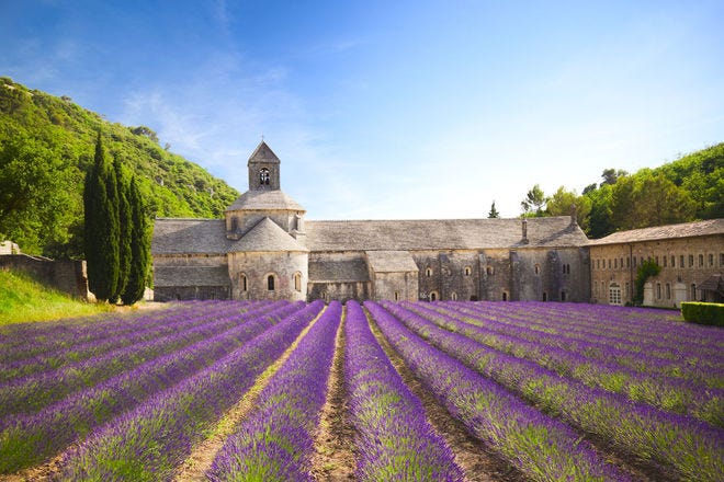 10 of the prettiest flower fields in the world