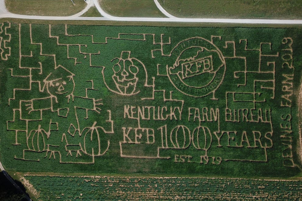 Devine's Corn Maze