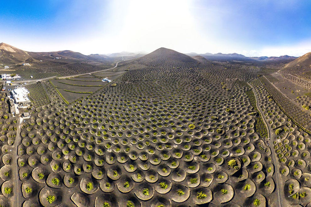 The unique vineyards of Lanzarote