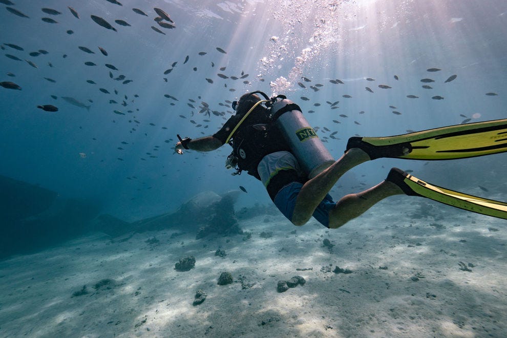 Diving in the Society Islands