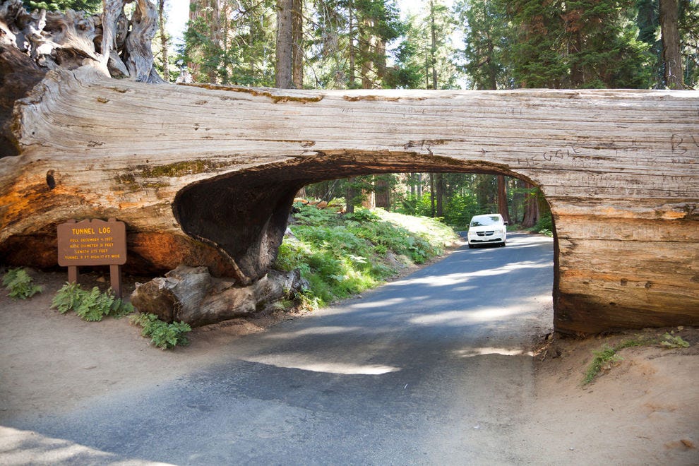 Tunnel Log