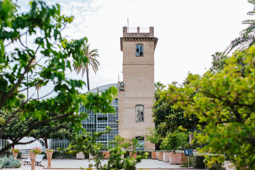 Botanical garden at University of Valencia