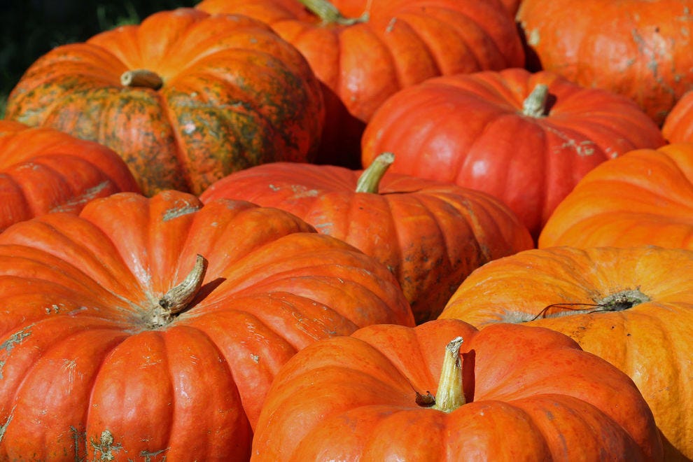 10 types of pumpkins that are actually great for cooking