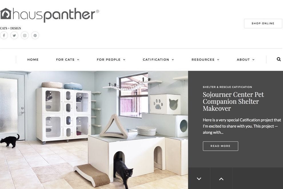 Best Online Pet Supplies Winners (2020) USA TODAY 10Best