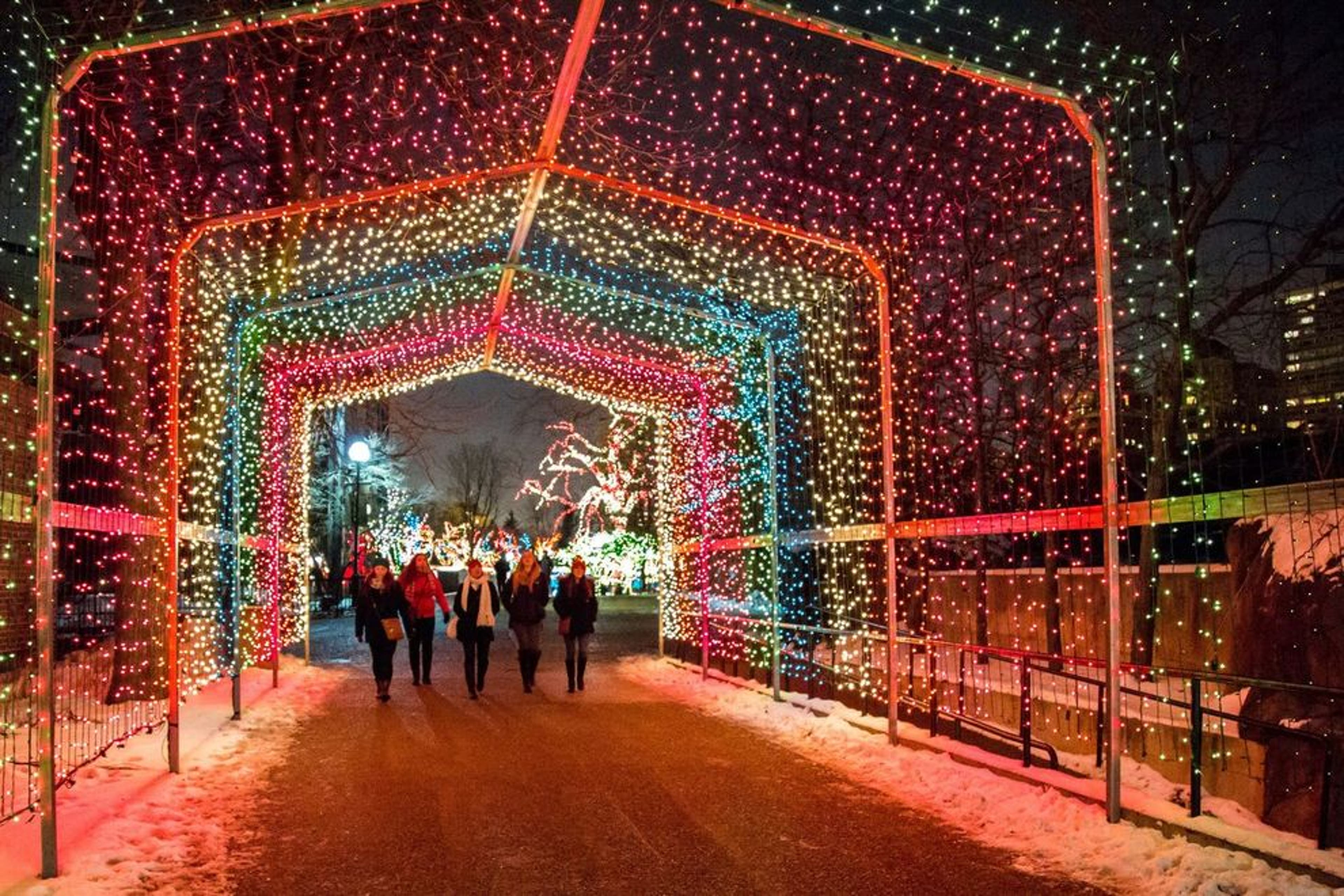 https://img1.10bestmedia.com/Images/Photos/383340/ZooLights-at-Lincoln-Park-Zoo_54_990x660.jpg?auto=webp&quality=75&width=3840