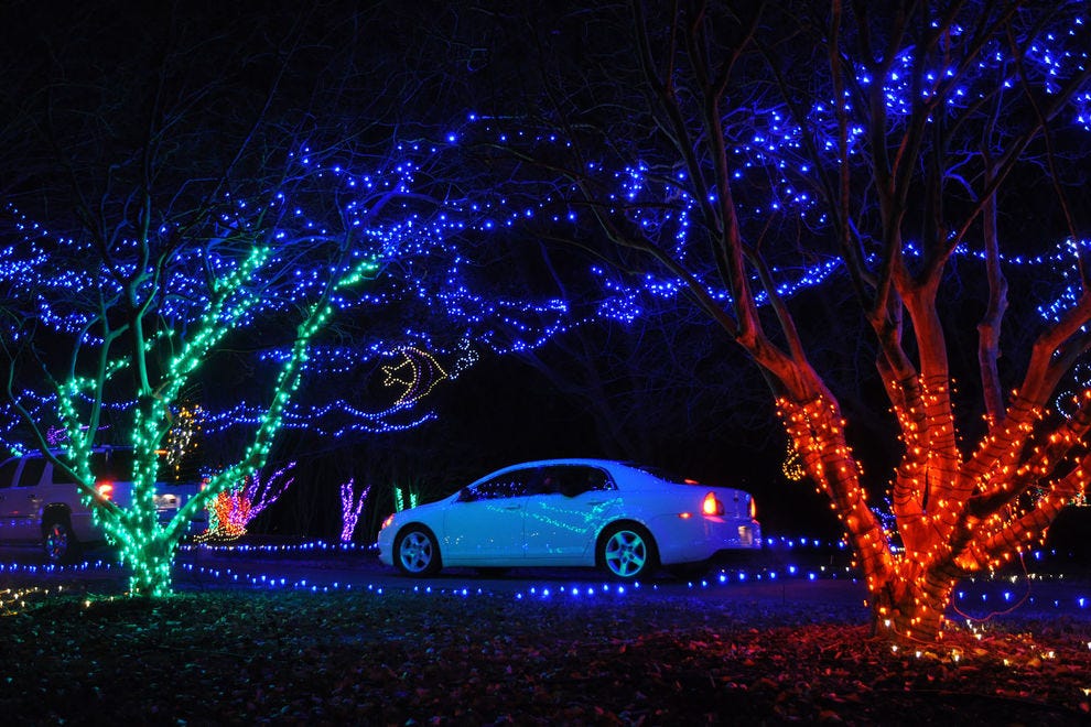 Best Botanical Garden Holiday Lights Winners (2020) USA TODAY 10Best