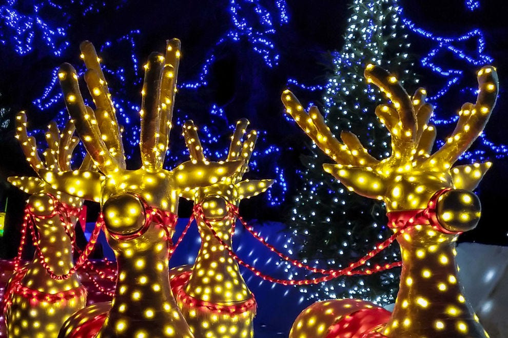 Vote Christmas Tree Lane Best Public Holiday Lights Display Nominee 2020 10best Readers Choice Travel Awards